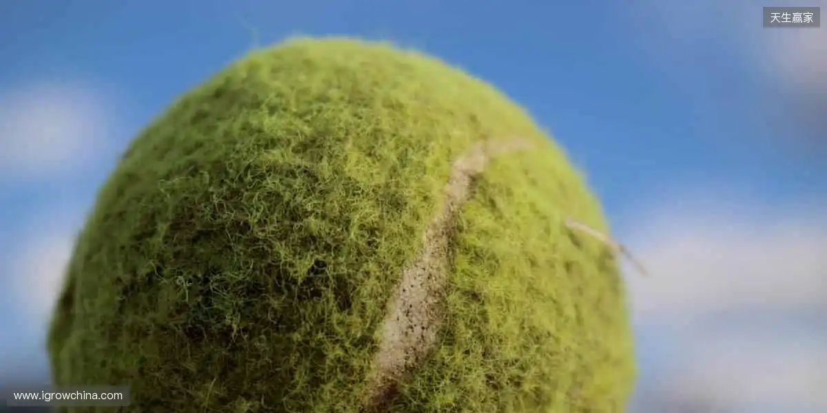 超清直播,身临其境!📺